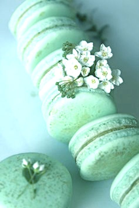 Green Tea Macarons, Green Tea Recipes, Matcha Recipe, Macaron Recipe, Think Food, Japanese Sweets, Matcha Green, Sugar Rush, Matcha Green Tea