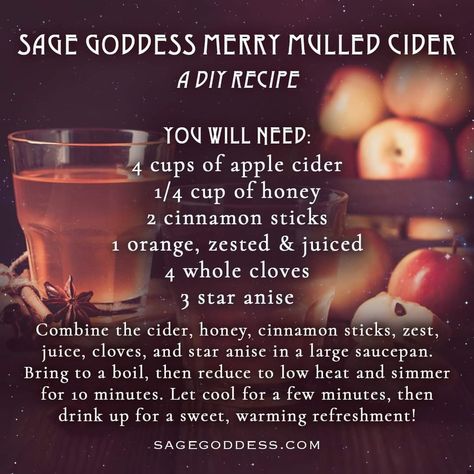 Spelt Recipes, Mulled Cider, Boozy Drinks, Herbal Teas, Diy Recipes, Star Anise, Drink Ideas, Holiday Drinks, Drink Up