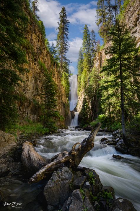 ***Available on metal, canvas, or professional grade photo paper**

Title: Cascading Silence

This elusive waterfall just outside of Telluride, Colorado is one of the most beautiful waterfalls in the state. It resides in a mysterious narrow canyon that can be a challenge to locate. I will never forget the feeling of standing at the bottom staring up in awe as the sunlight illuminated the falls. Horizontal Waterfall, Green Mountain Falls Colorado, Colorado Waterfalls, Waterfalls Around The World, Colorado Map, Majestic Waterfall, Waterfall Photo, Colorado Landscape, Telluride Colorado