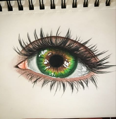 Irises, Colored Pencils, Lashes, Pencil, Green, Color, Coloured Pencils