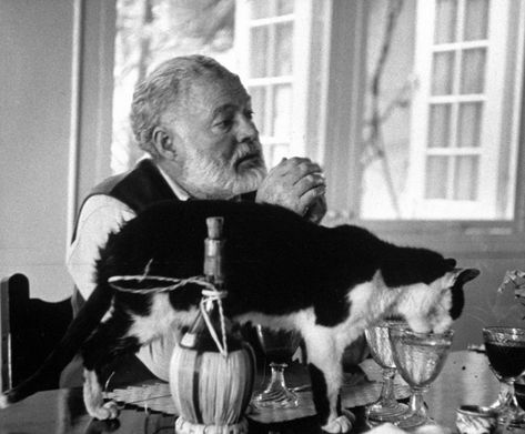 Ernest Hemingway sat while a cat drank out of a water glass on the table, 1959. Hemingway Cats, Gatos Cool, Polydactyl Cat, International Cat Day, Cat People, Space Cat, Cat Quotes, Ernest Hemingway, Animal Quotes