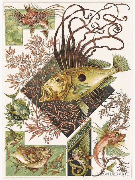 "Fantastic Fish (1896) - Anton Seder" Sticker for Sale by SALON DES ARTS | Redbubble Fishes Drawing, Anton Seder, Fish Drawings, Fish Art, A Drawing, Anton, Design Elements, Art Nouveau, Graphic Art