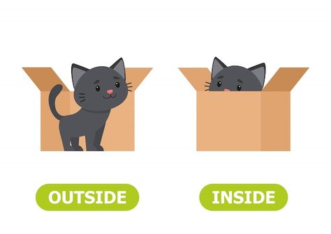 Kitten inside the box and outside | Premium Vector #Freepik #vector #cat-box #cat #cat-cartoon #cat-character In And Out Opposites Preschool, Opposites For Kids, Inside Illustration, Outside Activities For Kids, English Grammar For Kids, Grammar For Kids, Background Cartoon, Opposite Words, Kids Worksheets Preschool