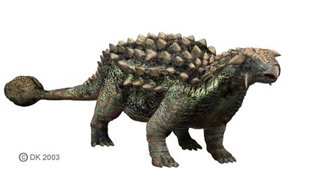 Ankylosaurus - Dinopedia Real Dinosaur, Fun Facts For Kids, Cool Dinosaurs, Billy The Kid, Fossil Bones, Dinosaur Pictures, Fossil Teeth, Facts For Kids, Extinct Animals