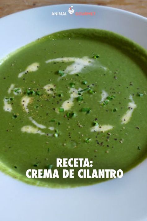 ¿Se viene una comida familiar y no sabes qué cocinar? Esta crema de cilantro es refinada, sustanciosa y fácil de preparar. Cilantro, Healthy Recipes, Fruit