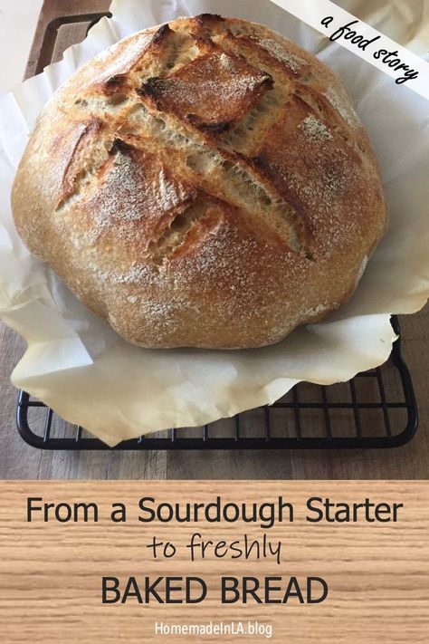 Want to create your own starter? Want to bake delcious sourdough from scratch? If so, visit my blog for an in depth look at my sourdough journey from a tiny starter to fresh baked bread! #homemadeinla #sourdough #sourdoughbread #sourdoughstarter #freshbakedbread #foodstories #sourdoughrecipes #breadrecipes #baking #sourdoughdiscard #excesssourdoughdiscard Same Day Bread Recipe, Same Day Sourdough Bread, Bread Recipe For Beginners, Same Day Sourdough, Beginners Bread Recipe, Easy Sourdough Bread Recipe, Recipe Using Sourdough Starter, Recipe For Beginners, Chewy Bread