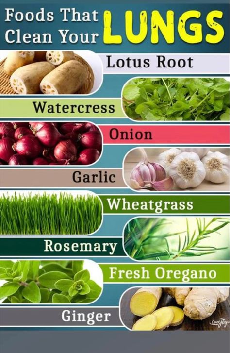 Clean lungs Clean Lungs, Food For Kidney Health, Food Health Benefits, Healthy Food Facts, Women Health Care, Home Health Remedies, Herbal Healing, Herbs For Health, Health Knowledge