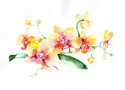 Yellow Orchid Flower, Tropical Flower Bouquet, Flower Bouquet Watercolor, Tropical Flowers Bouquet, Bouquet Watercolor, Yellow Orchid, Flowers Yellow, Flower Sketches, Watercolor Set