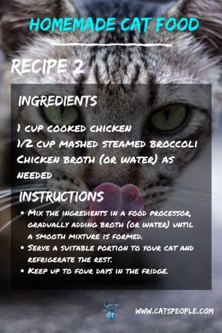 Food Surprise, Homemade Cat Treats Recipes, Cat Food Recipe, Cheap Recipe, Diy Cat Food, Healthy Cat Food, Pet Treats Recipes, Raw Cat Food Recipes, Homemade Cat Food