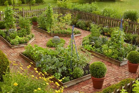 15 Vegetable Garden Fence Ideas to Protect Your Plants Vegetable Garden Fence Ideas, Vegetable Garden Fence, Fenced Vegetable Garden, Garden Fence Ideas, Gardening Trends, Small Space Diy, Fence Ideas, Garden Pests, Garden Fencing