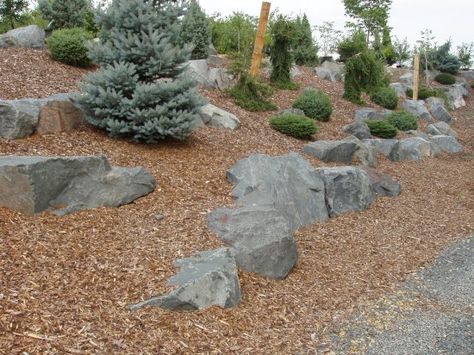 Rock Outcropping Landscaping, Boulder Outcropping, Sloped Landscaping Ideas, Sloped Landscaping, Boulder Retaining Wall, Landscaping A Slope, Sloped Backyard, Landscaping With Rocks, Koi Pond