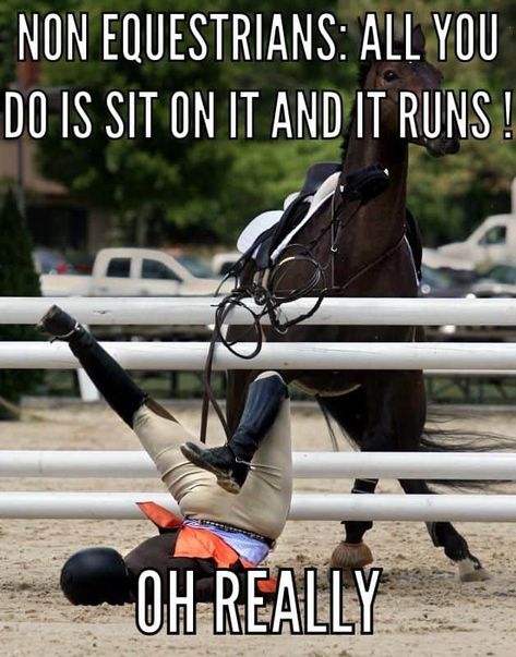 17 Equestrian Memes That You'll Love Equestrian Memes, Funny Horse Memes, Horse Meme, Horse Quotes Funny, Funny Horse Videos, Horse Jokes, Funny Horse Pictures, Inspirational Horse Quotes, Horse Riding Quotes