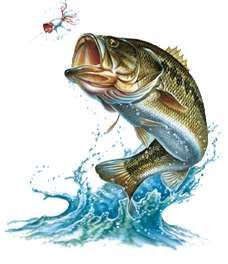 Fish Jump by Bolbec on DeviantArt | horse painting | Pinterest ... Bass Fishing Pictures, Large Mouth Bass, Bawah Air, Fish Artwork, Salt Water Fishing, Fishing Pictures, Fish Drawings, Largemouth Bass, Deep Sea Fishing