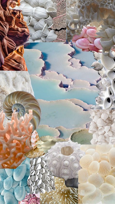 Terrace of seashells 🐚 #love #beach #vibes #blue #aesthetic #calm #relaxing #moodboard #foryou #shufflefyp Pearls Beach Aesthetic, Mood Board Sea Inspiration, Seashell Mood Board, Sea Shell Mood Board, Coral Reef Mood Board, Marine Moodboard, Shell Moodboard, Sea Moodboard, Ocean Moodboard