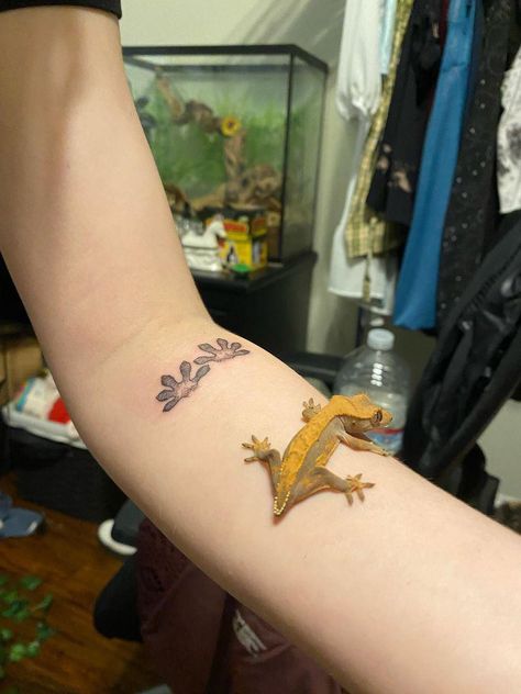 Crested Gecko Tattoo Ideas, Reptile Tattoo Ideas, Crested Gecko Tattoo, Leopard Gecko Tattoo, Leopard Gecko Cute, Crested Gecko Care, Gecko Tattoo, Lizard Tattoo, Crested Geckos