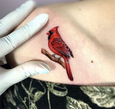 Cardinal Mandala Tattoo, Owl And Cardinal Tattoo, Realism Cardinal Tattoo, Cardinal Shoulder Tattoo, Red Cardinal Tattoo Small Memorial, Red Bird Tattoos For Women, Cardinal Birds Tattoo, Cardinal Flying Tattoo, Cardinal Tattoo For Men