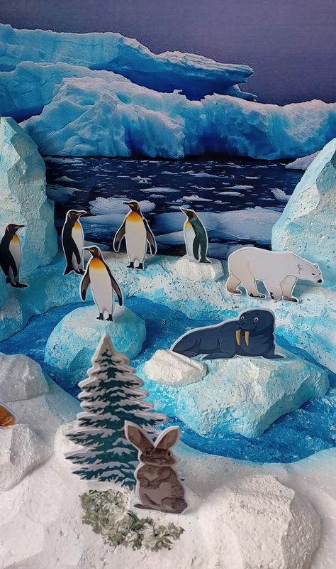 Arctic Diorama For Kids, Polar Bear Diorama, Northern Lights Decorations, Tundra Biome, Arctic Vbs, Diorama Kids, Arctic Region, Habitats Projects, Biology Projects