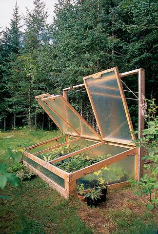 Diy Cold Frame, Cold Frame Diy, Plantarea Legumelor, Kolam Koi, Cold Frames, Plants Growing, Backyard Greenhouse, Greenhouse Plans, Mini Greenhouse