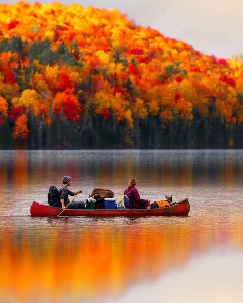 Vermont Foliage, New England Fall, Travel Landscape, Camping Spots, Rescue Dog, Fall Travel, Canoeing, Art Contest, Camping Life