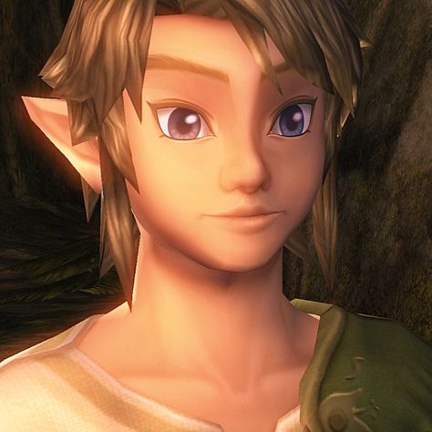 Tp Link Icon, Link Twilight Princess Manga, Zelda Screenshots, Link Twilight Princess, Link Icon, Shigeru Miyamoto, Zelda Twilight Princess, Japanese Games, Link Zelda