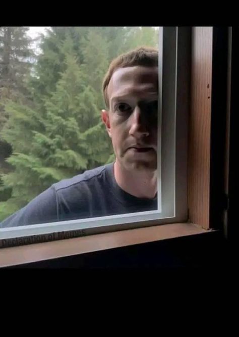 Zuckerberg Meme, Funny Marketing, Goofy Images, Somebody's Watching Me, Funny Poses, Reaction Photos, My Honest Reaction, My Reaction, Honest Reaction