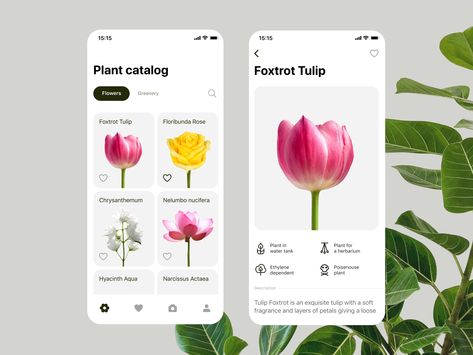 Plants App for Florists by Katya Yanchishina on Dribbble Flower Catalog Design, Flower Website Design, Florist App Design, Flower Website, Plant Identification App, Flower App, Plant App, Art Men, Flower Mobile