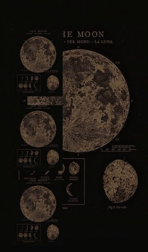 Vintage Astronomy Prints, Astronomy Prints, Vintage Astronomy, Witchy Wallpaper, Simple Phone Wallpapers, Edgy Wallpaper, Dark Wallpaper Iphone, Cool Wallpapers Art, Vintage Poster Art