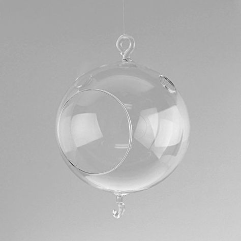 Clear Glass Globe Terrarium Air Plant Candle Holder Height 4Inch w Hook 6Pack -- You can get more details by clicking on the image. Globe Terrarium, Plant Candle, Plant Home Decor, Hanging Terrarium, Plant Home, Round Candles, Christmas Cookies Decorated, Glass Terrarium, Glass Holders