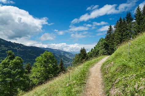 5 Hikes Everyone in Northern Colorado Must Do Colorado Hikes, Alpine Forest, Dangerous Roads, Get Up And Go, Colorado Adventures, Small Town Life, Northern Colorado, Hiking Routes, Adventure Bucket List