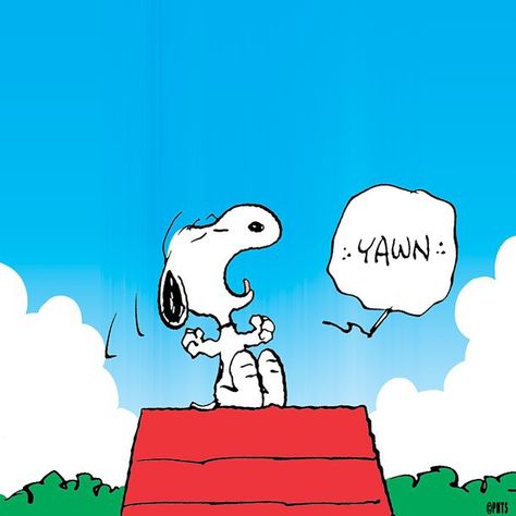 Time to wake up. 🌷 #backtowork Wake Up Cartoon, Charlie Brown Cartoon, Snoopy Family, Dads Favorite, Snoopy Pictures, Joe Cool, The Peanuts, Snoopy Love, Instagram Time