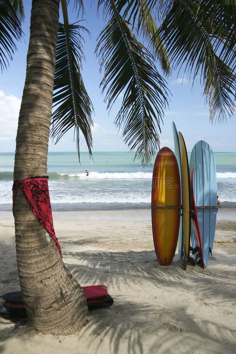 Bali Surf, Voyage Bali, Kuta Beach, Gopro Surfing, Usa Beaches, Sup Surf, Hawaii Surf, Surf Lesson, Water Photography