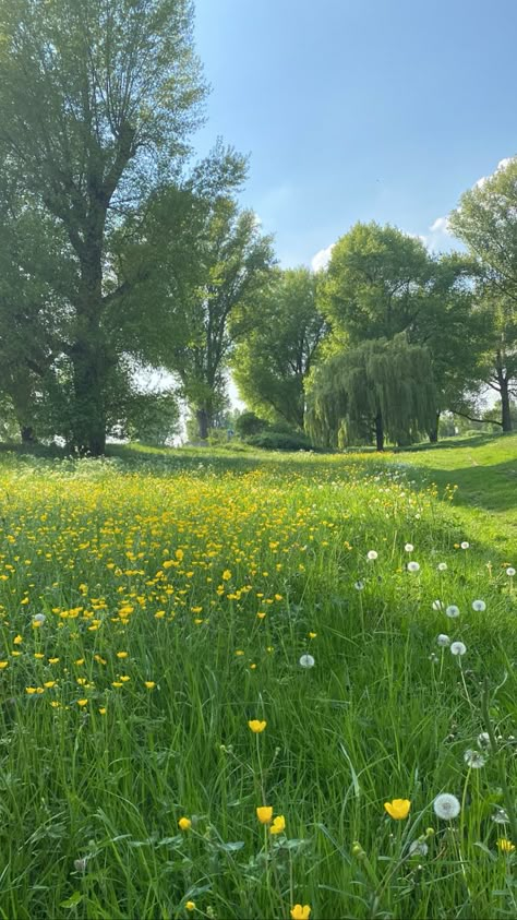 Green Grass Aesthetic, Grass Aesthetic, Calming Images, Hiking National Parks, Pretty Landscapes, Countryside House, Summer Nature, Garden Landscape Design, Green Landscape