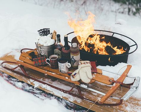 <3 Winter Picnic, Winter Love, Winter Wonder, Noel Christmas, Winter Fun, Florida Keys, Baby Cold, Hot Drinks, Sled