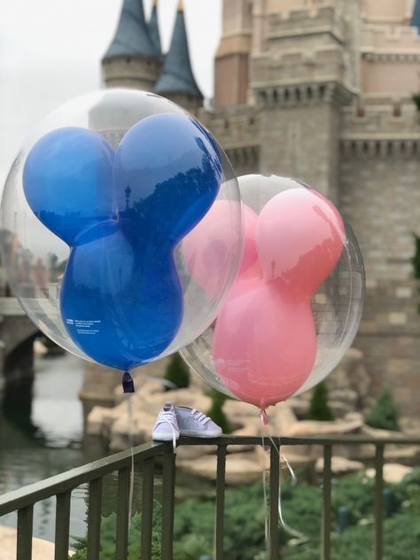 Gender Reveal Disney, Disney Castle, Reveal Ideas, Maternity Pictures, Magic Kingdom, Baby Announcement, Gender Reveal, Ball Exercises, Disney World