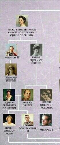 Family tree of Queen Sofia Royal Family Tree, British Royal Family Tree, Queen Victoria Family, Queen Victoria Prince Albert, Greek Royalty, Royal Family Trees, Royal Family Pictures, Family World, Royal Aesthetic