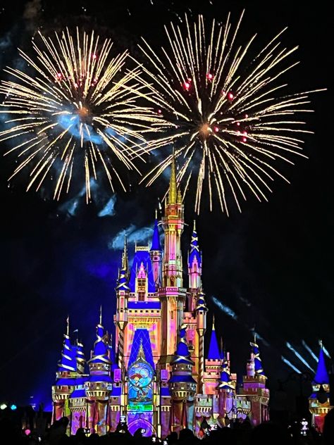 Disney College Program Enchanted Fireworks Disney Fireworks Wallpaper, Walt Disney Aesthetic, Enchanted Kingdom Philippines, Walt Disney World Aesthetic, Magic Kingdom Aesthetic, Disney Castle Fireworks, Firework Aesthetic, Disney World Fireworks, Disneyland Fireworks