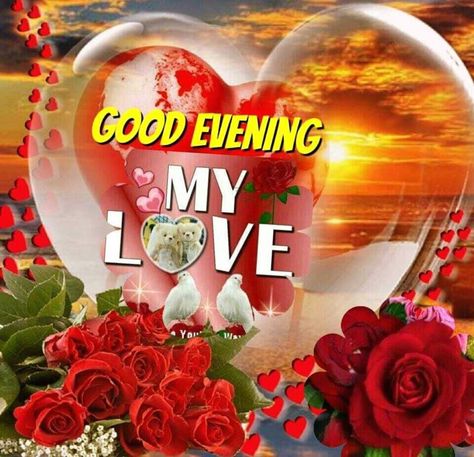 My love good evening evening good evening good night quotes beautiful good evening images Good Evening My Love, Good Evening Quotes, Good Evening Photos, Good Evening Images, Good Evening Love, Evening Images, Romantic Good Night Image, Facebook Cover Photos Love, Good Evening Messages