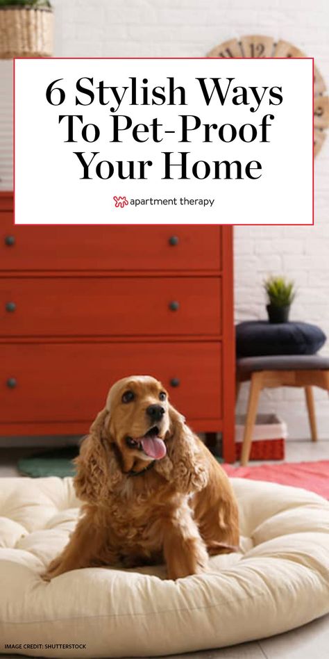 Here's how to pet-proof your home without compromising on design. #pets #petproof #petcare #petparenting #pettraining #petfriendly #designtips Dog Friendly Decor, Pet Friendly Home Design, Pet Friendly Home Ideas, Dog Friendly Interior Design, Dog At Home Aesthetic, Pet Friendly Apartment Ideas, Dog Friendly Home Design, Living Room Dog Area, Dog Friendly Bedroom Ideas