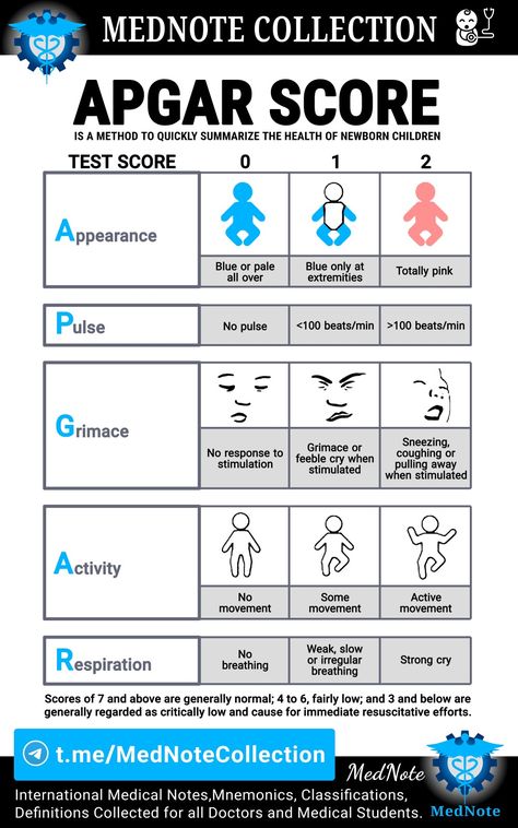 Pediatric Emergency Medicine, Pediatric Medical Assistant, Pediatric Urology, Family Medicine Doctor, Pediatrics Doctor, Pediatric Doctor, Obstetrics Nursing, Apgar Score, Student Doctor