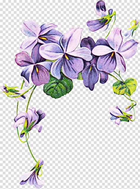 Violet Flower Tattoos, Violet Tattoo, Watercolor Border, Rose Clipart, Clipart Vintage, Wreath Drawing, Flower Drawing Design, Sweet Violets, Drawing Clipart