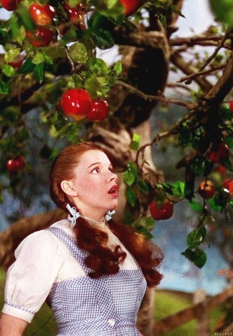 The Wizard Of Oz Aesthetic, Wizard Of Oz Aesthetic, Wizard Of Oz Pictures, Vintage Wizard Of Oz, Surrender Dorothy, Wizard Of Oz Movie, Wizard Of Oz 1939, Oz Movie, Dorothy Gale