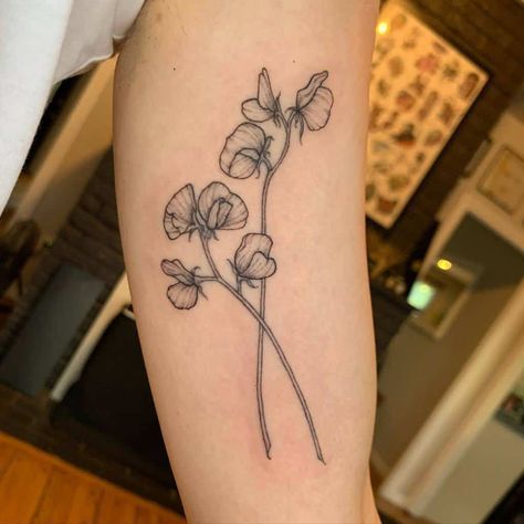 Climbing Plants Tattoo, Sweet Pea Arm Tattoo, One Line Sweet Pea Tattoo, Sweet Peas Flowers Tattoo, Tattoo Ideas Sweet Pea, Sweet Pea Drawing Tattoo Ideas, Sweetpea Tattoo, Sweet Pea Line Tattoo, Sweetpea Flower Tattoo