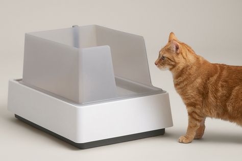 Cove Modern Litter Box Exceeds Expectations Litter Box Hacks, Cat Furniture Ideas, Litter Box Ideas, Cardboard Cat House, Box Hacks, Cat Litter Boxes, Gift Ideas Funny, Modern Cat Furniture, Apartment Designs