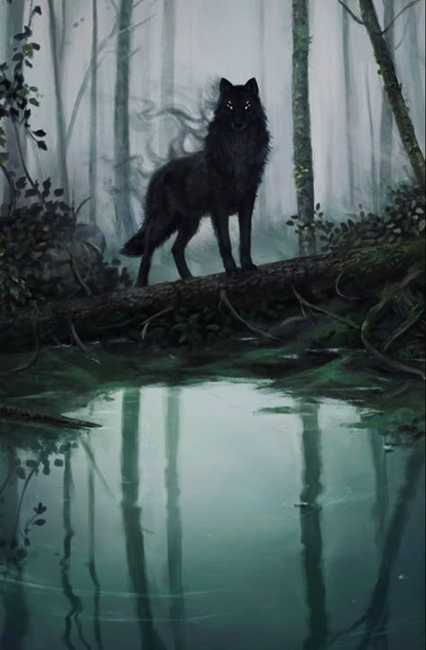 Shadow Wolf, Wolf Artwork, Fantasy Wolf, Wolf Spirit Animal, Werewolf Art, Wolf Drawing, Wolf Pictures, Wolf Spirit, Little Dragon