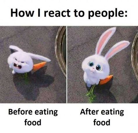 25+ Hilarious Food Memes Hungry Meme, Eating Meme, Funny Food Memes, Disney Mignon, Food Memes, Cute Bunny Cartoon, Funny Captions, Food Humor, Funny Animal Pictures