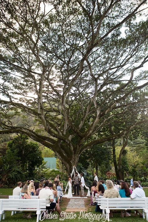 Waimea Valley Wedding Hawaii Wedding Dress, Destination Wedding Budget, Waimea Valley, Hawaii Beach Wedding, Wedding Venues Hawaii, Hawaii Wedding Photography, Oahu Photographers, Hawaii Destination Wedding, Couples Vacation