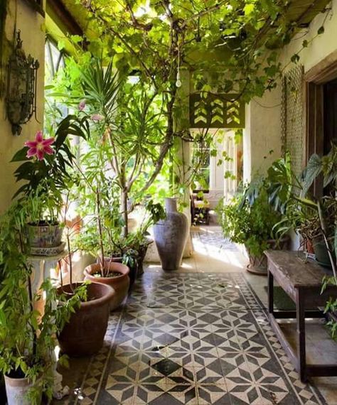 I love the idea of Bohemian style in the conservatory. Irish Country House, نباتات منزلية, Modern Planters, Patio Interior, Balcony Decor, Balcony Garden, Terracotta Pots, Outdoor Rooms, Garden Room