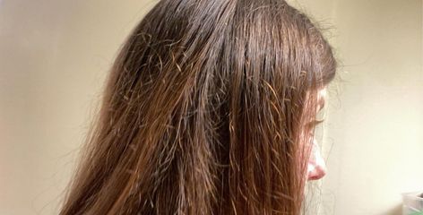 Fix Damaged Hair, Airy Styles, Hairstyles Anime, Diy Cat Stuff, Veil Updo, Balanced Living, Hair Techniques, Grow Hair Faster, Dry Damaged Hair