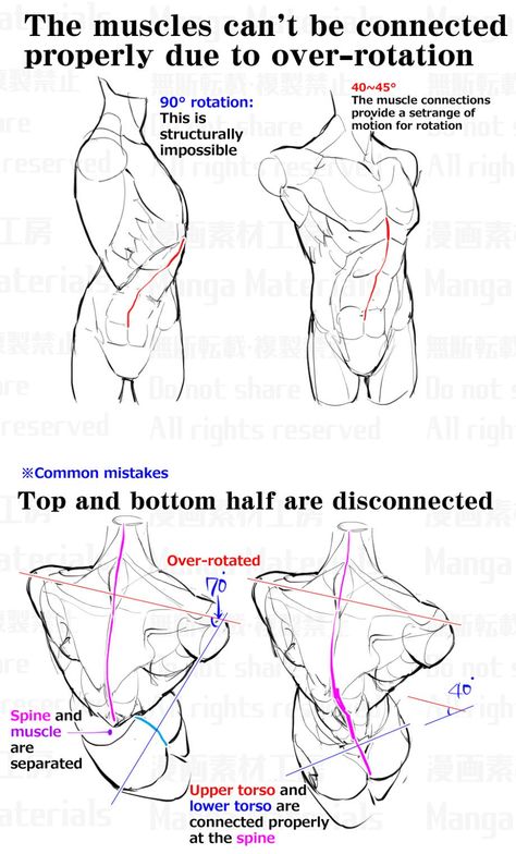 Human Anatomy Reference, Anatomy Tutorial, Human Anatomy Drawing, Human Figure Drawing, Human Anatomy Art, Anatomy Sketches, Drawing Guide, Anatomy Poses, Anatomy For Artists