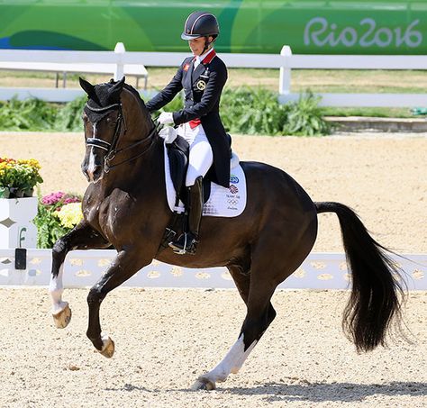 Charlotte Dujardin and Valegro in the Grand Prix Freestyle to win Olympic individual gold. © 2016 KLen Braddick/dressage-news.com Horse Riding Dressage, Classical Dressage, Sso Dressage Moves, Piaffe Dressage, Charlotte Dujardin, Olympic Equestrian, Cow Boys, Valegro Horse Dressage, Equestrian Helmets